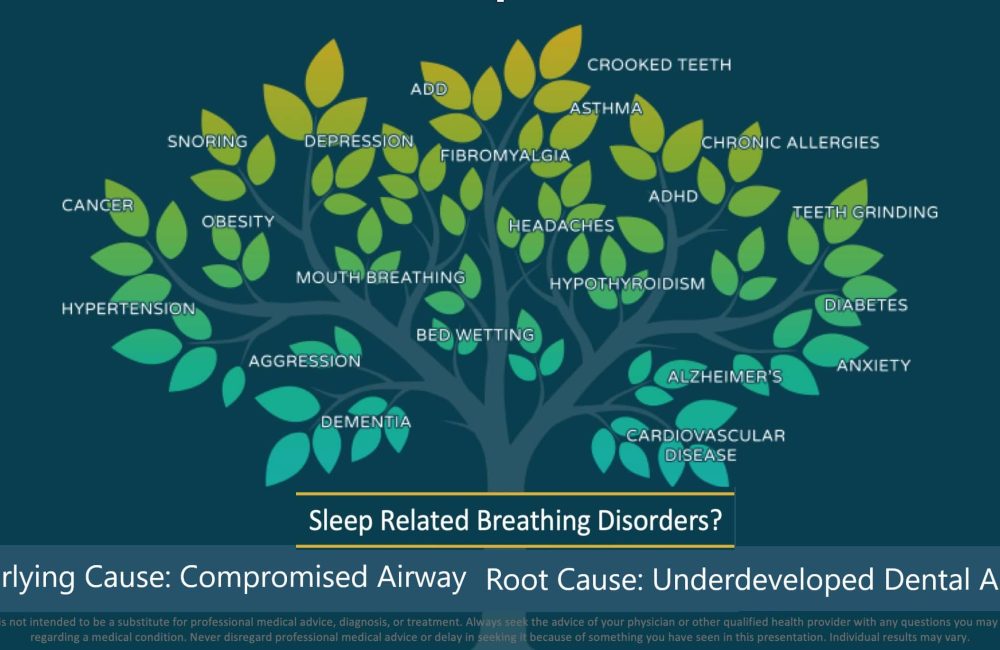 Tree Graphic 2 Edmond Oklahoma Cosmetic Dentist